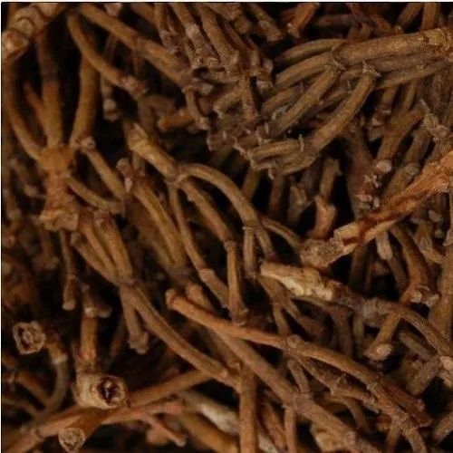 Natural Clove Stem